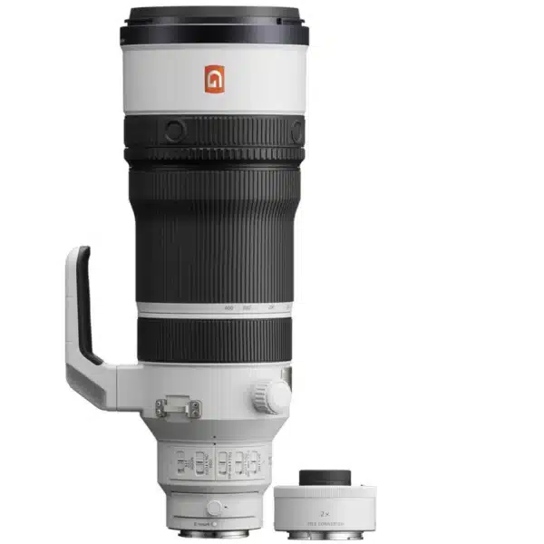 Sony FE 100-400 mm f/4.5 GM OSS + Sony SEL 2.0x TC converter E-mount