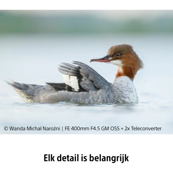Sony FE 400mm f/4.5 GM OSS