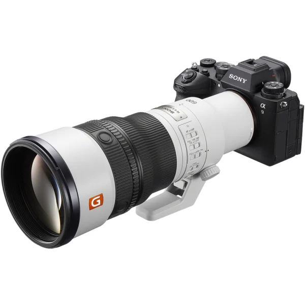 Sony FE 600mm f/6.3 GM OSS