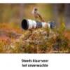 Sony FE 600mm f/6.3 GM OSS