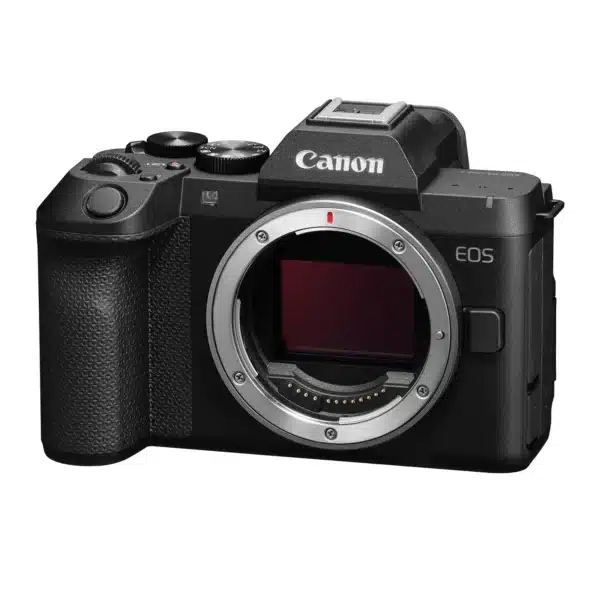 Canon EOS R8 Mark II + RF 24-105mm f/4-7.1 IS STM