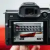 Canon EOS R8 Mark II + RF 24-105mm f/4-7.1 IS STM