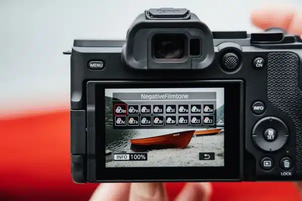 Canon EOS R8 Mark II + RF 24-105mm f/4-7.1 IS STM